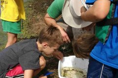 Lake-Ona-Island-science